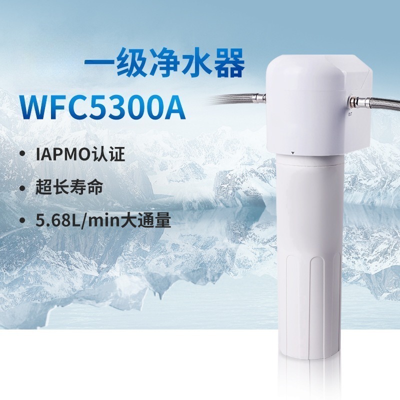 WFC5300A 싱크대 하부 정수 시스템 고유량 IAP - Bow Tie Pre Tied 리뷰 및 가격